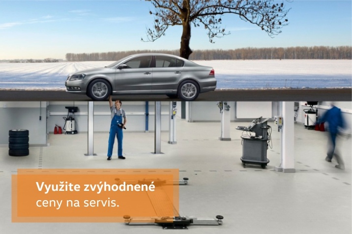 Servis
